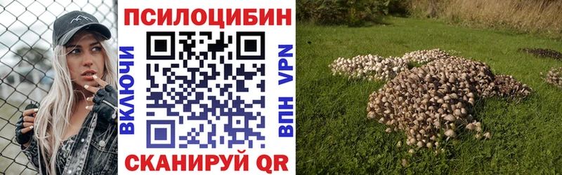 наркотики  Колпашево  нарко площадка какой сайт  Псилоцибиновые грибы мухоморы 